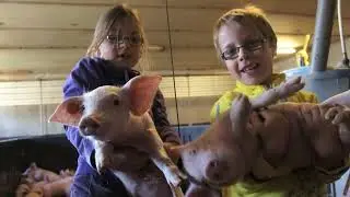 EIGEN KWEEK Sint Eloois Winkel