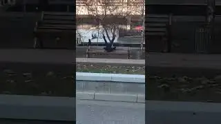 вот так моросить хочу тоже )