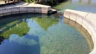 No Ordinary Walk In The Park: Clear Water Flows From This Underground Prehistoric Florida Cave
