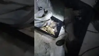 Рыбалка зимой!! На сети! Отличный улов!!