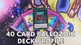 Competitive Paleozoic deck profile July 2024 TCG Yugioh