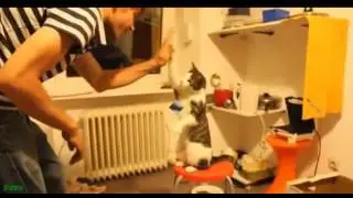 Мохнатики исполняют