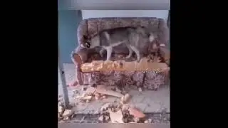 Поработал на славу 😁