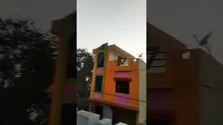 aaj ke dinome paksi nahi milti