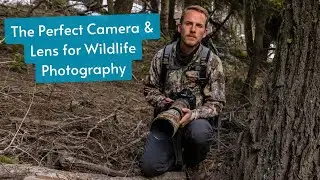 Photographing a Great Gray Owl with a new camera setup! A perfect camera/lens to photograph wildlife