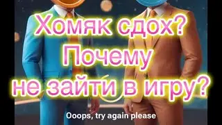 Хомяк все? Почему не зайти в Хамстер Комбат? Обнулилась крипта, что делать? #hamsterkombat #хомяк