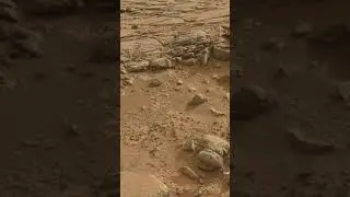 Mars - Curiosity Rover Sol 173 #Shorts #mars