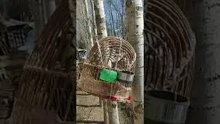 16 ноября 2022 г.