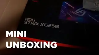 Mini Unboxing Monitor ROG Strix XG256Q I LudMitch