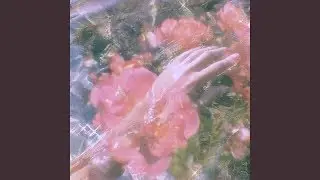 1nonly - sorry, i like you (Instrumental)
