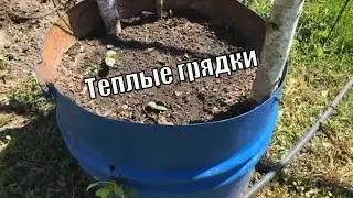 Если вы так посадите огурцы С урожаем будете до холодов в открытом грунте и без укрывного материала.
