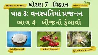 ધોરણ 7 | વિજ્ઞાન | પાઠ 8: વનસ્પતિમાં પ્રજનન ભાગ 4 | બીજનો ફેલાવો (Seed Dispersal) abhyaskram.in