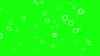 Bubbles on a Green Screen│Green Screen│4K│