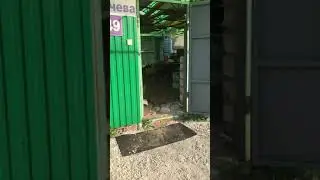 Открытая дверь для Собаки не означает, что через неё можно выйти
