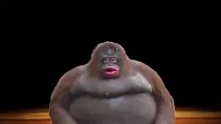 dk rap uh oh stinky
