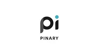 Intro To Pinary | Number One SAP GTS Provider | Pinary Inc. - Global Trade Services and Consulting