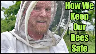 How We Keep Our Bees Safe