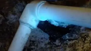 ПОНОСНЫЕ УБЛЮДКИ СОСЕДИ С ВЕРХНЕГО ЭТАЖА.