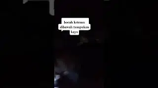 Viral Penculikan Bocah Ketemu di Tumpukan kayu😱