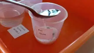 Aksi Nyata Visi Guru Penggerak