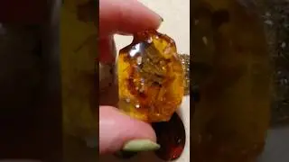 Ах,этот красавец янтарь!!!