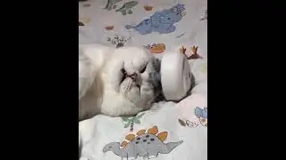 С добрым утром!