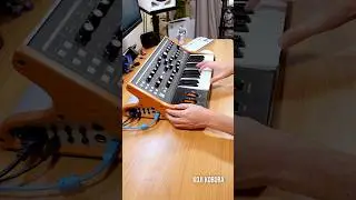 Daft Punk - Aerodynamic (Moog Subsequent 25) 