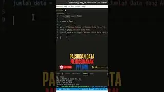faker python 