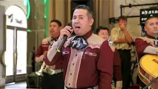 Los Plateados Mariachi