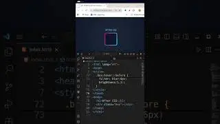 16/100   Before CSS vs After CSS | HTML CSS JS Animation and Effects 