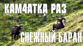 KAM4ATKA PA3/ KAMCHATKA ONE
