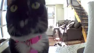 Zahra Still Thinks I’m Stuck In Camera
