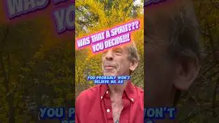 Strange GHOSTLY ENCOUNTERS at Lily Dale; Spirit Communication 