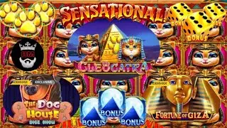 BETERA, ПОДБОРКА ВЫИГРЫШЕЙ В БЕТЕРА ОТ 350Х ДО 440х, CLEOCATRA, DOG HOUSE, FORTUNE of GIZA.
