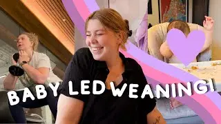 Baby Led Weaning Updates + Organizing My House!