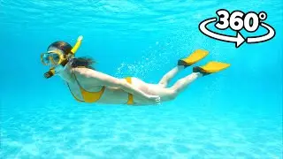 Underwater Beach Swimming 360° VR - See What's Beneath