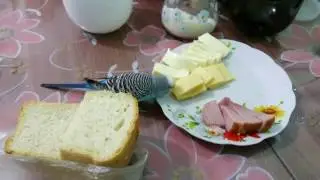 Кеша коры мочит!  ))))