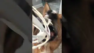 #ASMR