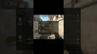 ну я муху засейвил #shorts #csgo #cs2