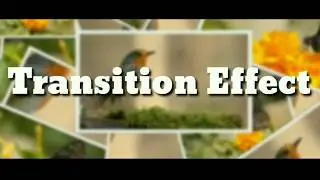 #Memorie_Album_Transition_Effect MEMORIE ALBUM TRANSITION EFFECT KINEMASTER RAJA MASOODI TUTORIAL