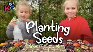 Kids Planting Seeds For Home Vegetable Garden