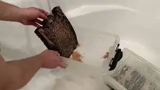 Промывка и уход за трубочником