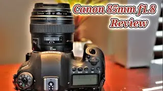 Canon 85mm F1.8 Review in 2020