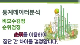 통계데이터분석 - 비모수검정1 - 순위검정 🔑nonparametric test | rank test | 윌콕슨순위합검정 | 크러스칼-왈리스검정 | 윌콕슨부호순위검정 | 프리드먼검정