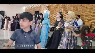 Hozan Tacettin - 2022