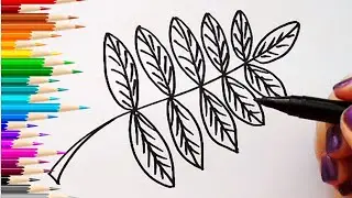 ЛИСТ РЯБИНЫ / раскраска РЯБИНОВЫЙ ЛИСТ / Нарисуй Ка