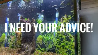 I need your help!
