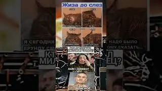 #memes #mem