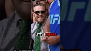 Conor Mcgregor EXPOSE Tj Dillashaw SNAKE 