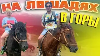 Прогулка на лошадях по горе Мамзышха.  Абхазия 2023